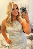 Load image into Gallery viewer, Sparkly Silver Sequin Plus Size Mermaid Long Formal Dress