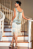 Load image into Gallery viewer, Blue Apricot Gatsby 1920s Dress with Sequins and Fringes