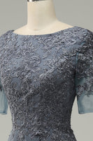 Load image into Gallery viewer, Grey Appliques Mother of Bride Dress