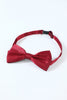 Load image into Gallery viewer, Red 1920s Accessories Set for Men